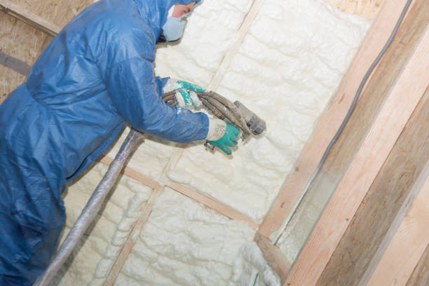 Best Radiant Barrier Insulation  in Meridian, TX