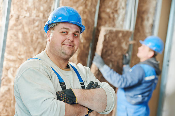 Best Eco-Friendly or Green Insulation Solutions  in Meridian, TX